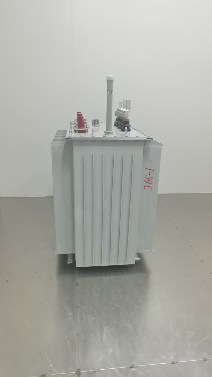 油浸式变压器&middot;型号二（M型 ）